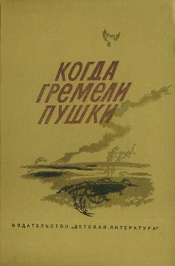 Николай Внуков Когда гремели пушки обложка книги