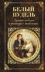 Иван Тургенев - Белый пудель. Лучшие повести и рассказы о животных (сборник)
