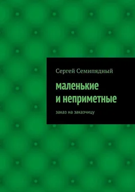 Сергей Семипядный маленькие и неприметные обложка книги