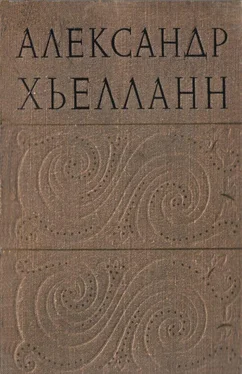 Александр Хьелланн Усадьба пастора обложка книги