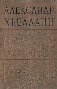 Александр Хьелланн Праздник Иванова дня обложка книги