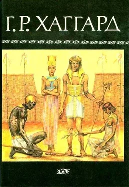 Генри Райдер Хаггард Собрание сочинений в 10 томах. Том 5 обложка книги