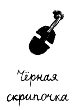 Черная скрипочка - фото 27