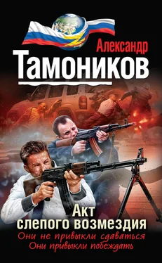 Александр Тамоников Акт слепого возмездия обложка книги