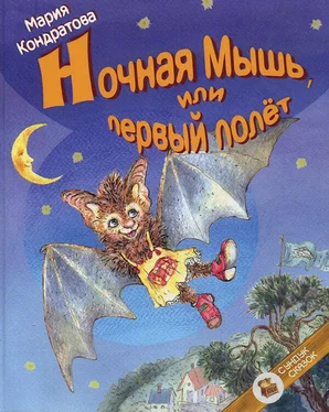 Мария Кондратова Ночная Мышь, или Первый полет обложка книги