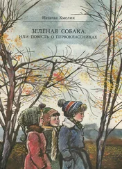 Наталья Хмелик - Зеленая собака, или Повесть о первоклассниках