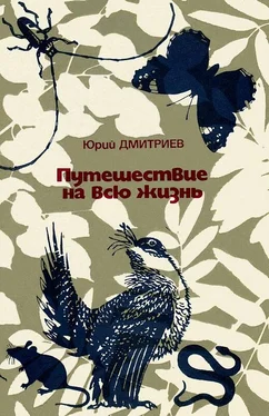 Юрий Дмитриев Путешествие на всю жизнь обложка книги