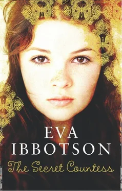 Eva Ibbotson The Secret Countess обложка книги