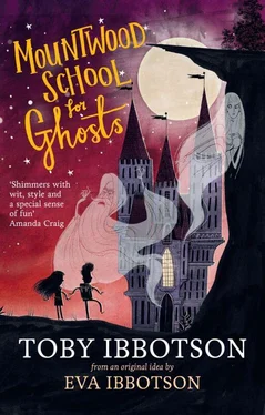 Toby Ibbotson Mountwood School for Ghosts обложка книги