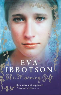 Eva Ibbotson The Morning Gift обложка книги