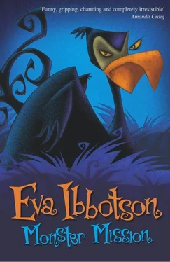 Eva Ibbotson Monster Mission обложка книги