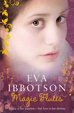 Eva Ibbotson Magic Flutes обложка книги