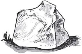 But sometimes just sometimes you might come across a rock that is not - фото 36