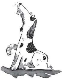 Every one of these dogs was a sensible dog They knew that a Frid lived in the - фото 39