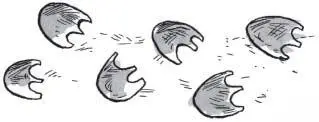 Inside the nest were three fluffy roundeyed goofylooking chicks with - фото 79
