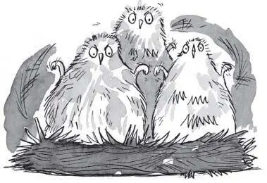 The Scotsmen looked at each other and their knees beneath their kilts began to - фото 80
