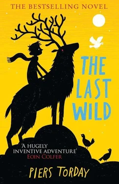 Piers Torday The Last Wild обложка книги