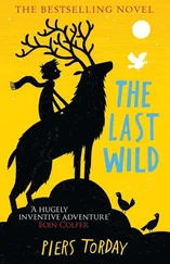 Piers Torday - The Last Wild