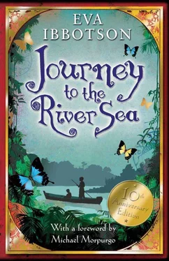 Eva Ibbotson Journey to the River Sea обложка книги