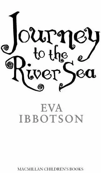 Journey to the River Sea by Eva Ibbotson For Martha Foreword Only to - фото 1