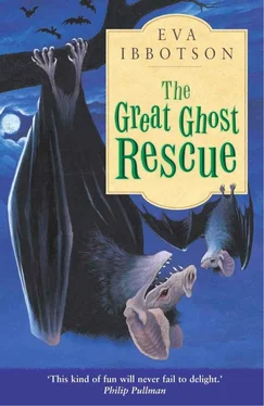 Eva Ibbotson The Great Ghost Rescue