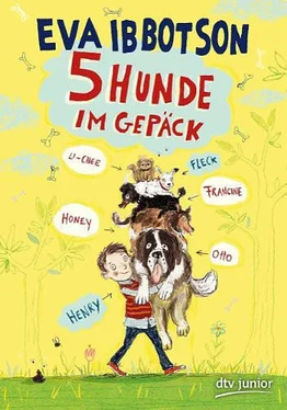 Eva Ibbotson Fünf Hunde im Gepaeck обложка книги