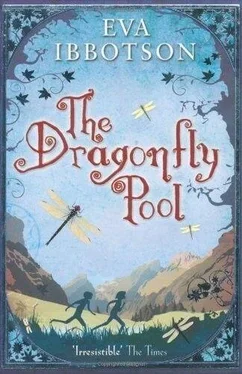 Eva Ibbotson The Dragonfly Pool