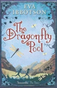 Eva Ibbotson The Dragonfly Pool обложка книги