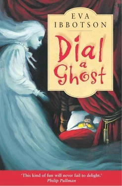 Eva Ibbotson Dial a Ghost обложка книги