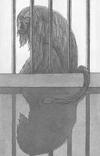 But the yetis couldnt sleep Even when they shut their ear lids they could - фото 36