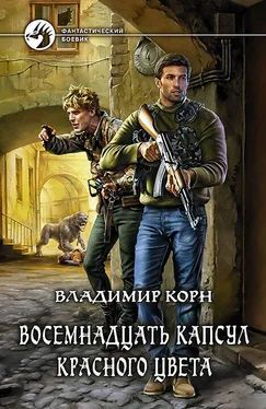 Владимир Корн Восемнадцать капсул красного цвета обложка книги