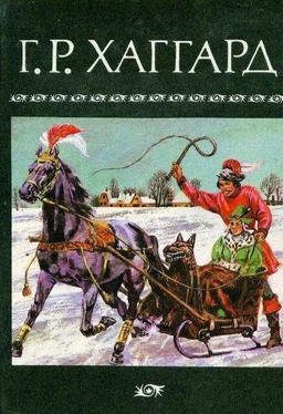 Генри Райдер Хаггард Собрание сочинений в 10 томах. Том 4 обложка книги