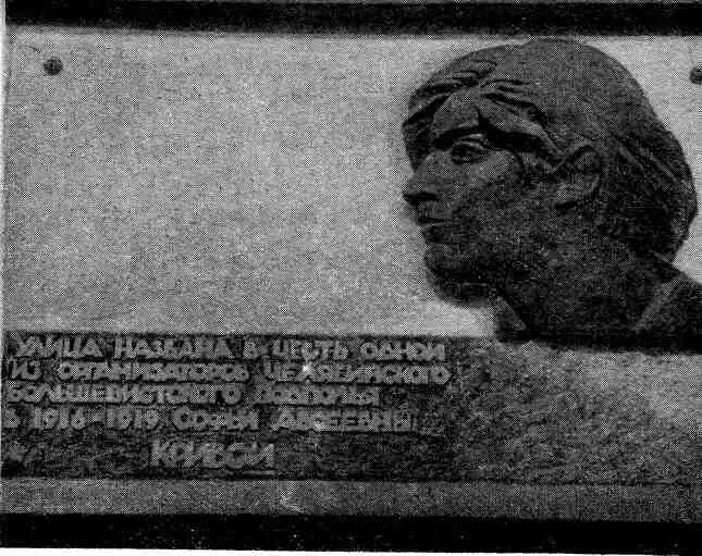 Мемориальная доска на одном из домов улицы С Кривой Челябинск Вот что - фото 17