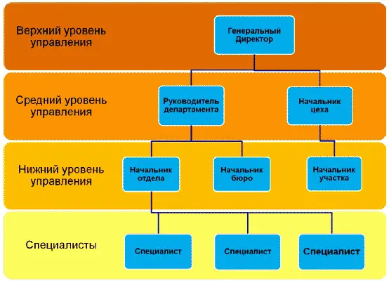 Рис 3 Уровни управления Заметим что и генеральный директор большой - фото 6
