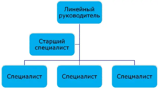Рис 4 Место старшего специалиста в структуре управления Для примера возьмем - фото 7
