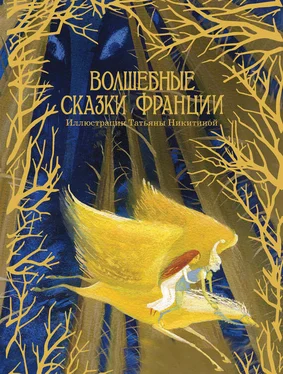 О. Степкина Волшебные сказки Франции обложка книги