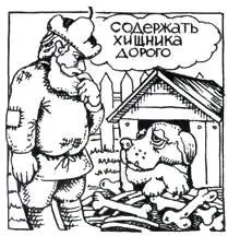 Интенсивность обмена веществ скорость протекания биологических процессов в - фото 2