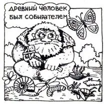 В новокаменную эпоху человек широко использовал каменные и костяные орудия - фото 4