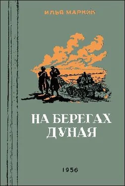 Илья Маркин На берегах Дуная обложка книги