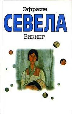 Эфраим Севела Викинг обложка книги