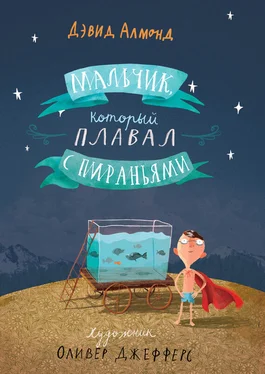 Дэвид Алмонд Мальчик, который плавал с пираньями обложка книги