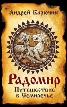 Андрей Карючин Радомир. Путешествие в Семиречье обложка книги