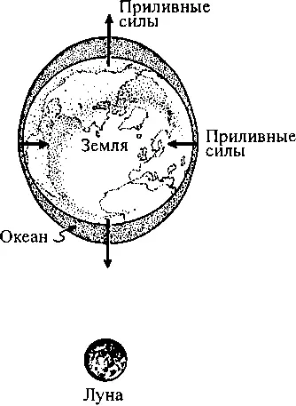 Если на вашем любимом океанском пляже приливы и отливы ведут себя несколько - фото 22