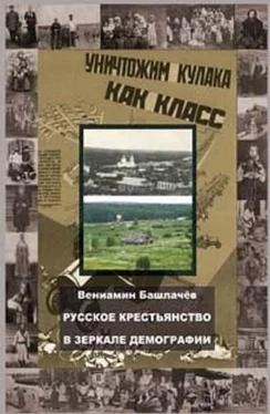 Вениамин Башлачев Русское крестьянство в зеркале демографии обложка книги