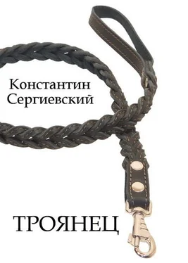 Константин Сергиевский Троянец обложка книги