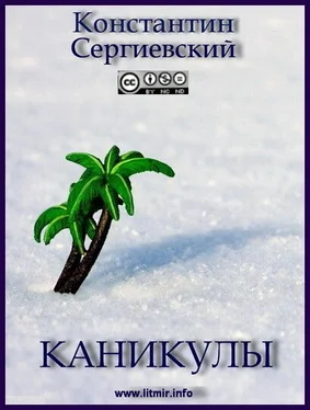 Константин Сергиевский Каникулы обложка книги