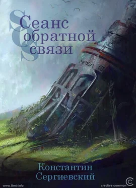 Константин Сергиевский Сеанс обратной связи обложка книги