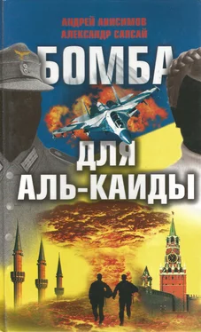 Андрей Анисимов Бомба для Аль-Каиды обложка книги