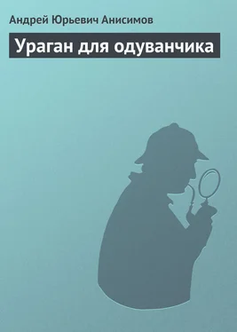 Андрей Анисимов Ураган для одуванчика обложка книги