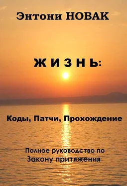 Энтони Новак Жизнь: Коды, патчи, прохождение. Полное руководство по Закону притяжения обложка книги